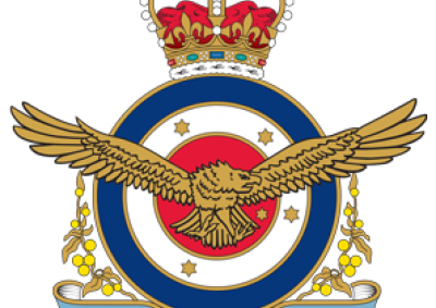 Air Force Association Badge
