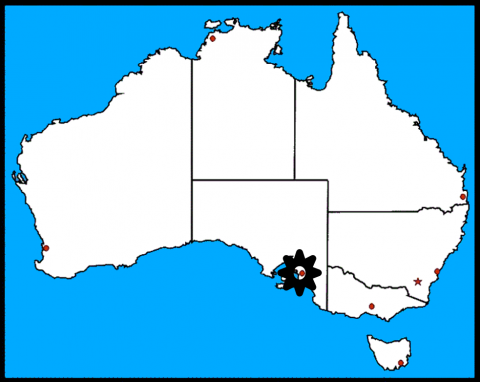 Babcock activity map
