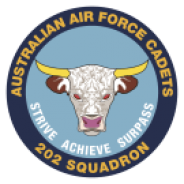 202 Squadron Badge