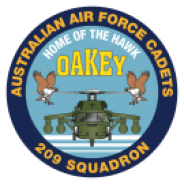 209 Squadron Badge