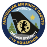 213 Squadron Badge