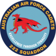 222 Squadron Badge