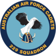 229 Squadron Badge