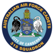 315 Squadron Badge