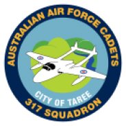 317 Squadron Badge