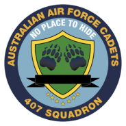 407 Squadron Badge