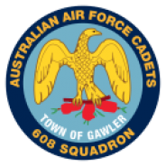 608 Squadron Badge