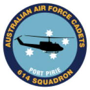 614 Squadron Badge