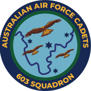 603 SQN badge