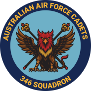 346 Squadron Patch - Logo