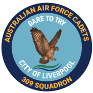 309 Squadron Patch